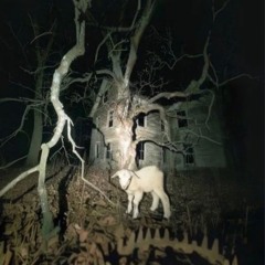 Devil's Delight