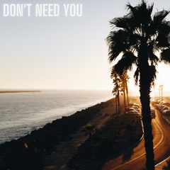 Don't Need You