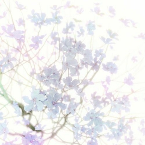 cluster
