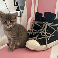 Pas de Drill ( Zoe Up )