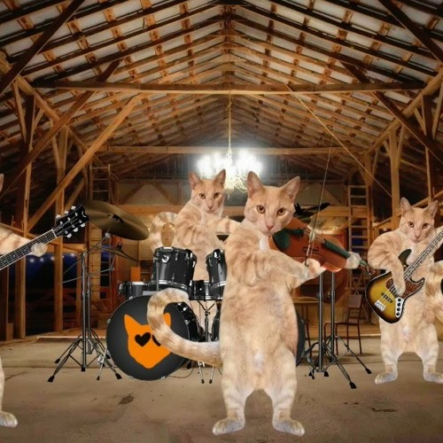 Bluegrass Cats