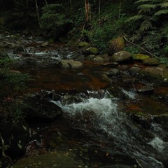 Afro House Selections