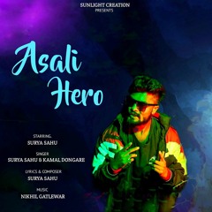Asli Hero _ Sunlight & Nikhil gatlewar