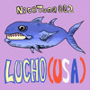 NiceTuna 002 // Lucho (USA) DJ mix artwork - Electronic music tracklist cover image