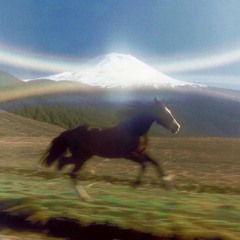 RaceHorse