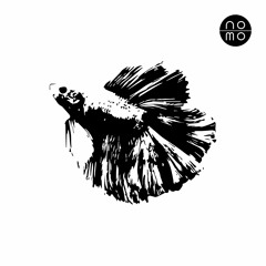 RE - ST - Molva Rausch