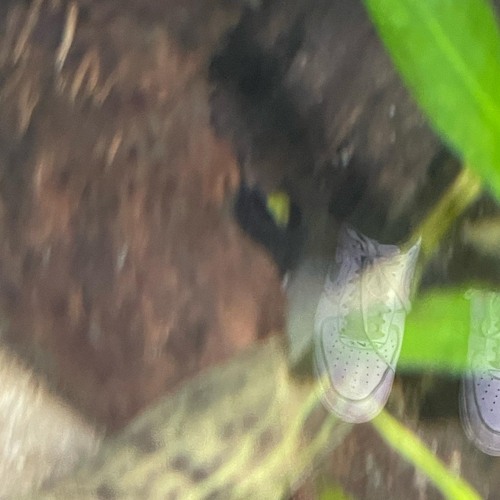 air [188bpm] ☆☆☆☆