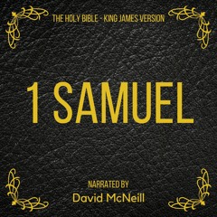 1 Samuel, 29