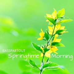 Springtime Morning | Uplifting Inspiring Acoustic Background Music for Video
