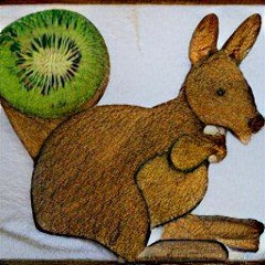Kangaroo & Kiwi's pt.2