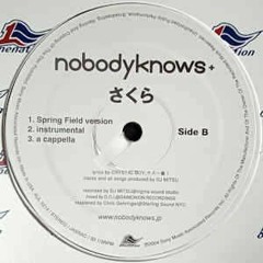 nobodyknows+ (Crystal Boy feat. ヤス一番？) / さくら Spring Field Version (DJ Nishi Remix)