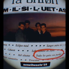 TodosLosGatosSonPardos.