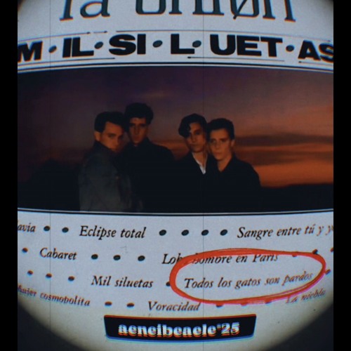 TodosLosGatosSonPardos.