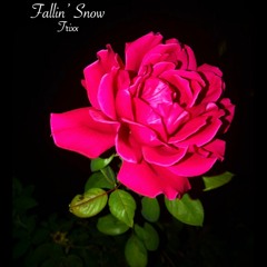 Trixx - Fallin' Snow