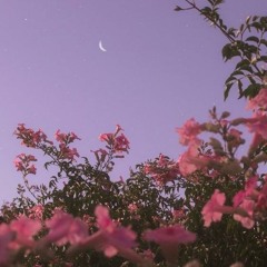 یا من ارجوه لکل خیر-قاسم موسوي قهار