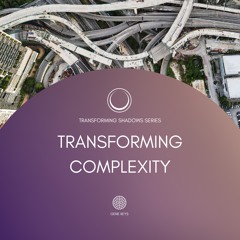 Transforming Complexity