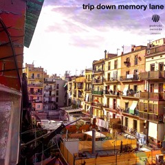 PREMIERE: Arsonist & Papilla - Trip Down Memory Lane [podvodo records]