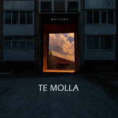 Mattend - Te Molla (TikTok Remix 2024)