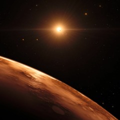 Monkey Dance - Nothing to Explain