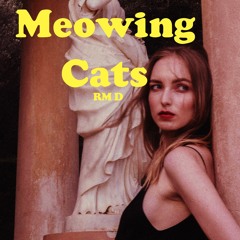 meowing cats