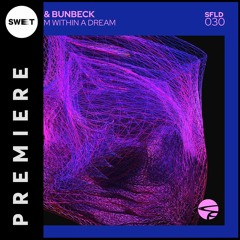 PREMIERE : Aliot & Bunbeck - Stranger (Original Mix) [Soulfooled]