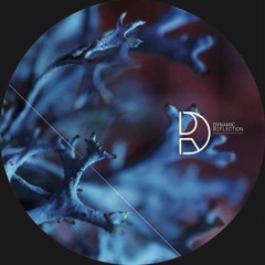 A2. Viels - Coincidence One [Neel Remix] (Dynamic Reflection_DREF043)
