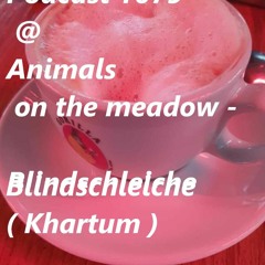Podcast 1079 @ Animals On The Meadow - Blindschleiche ( Khartum ) 08 03 2024