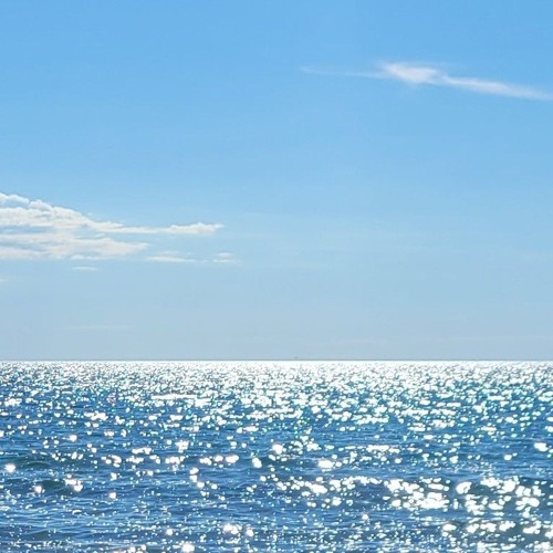 couldn't forget (with Seafoam Sweater Girl)