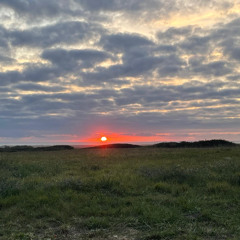 Recipe for a Quiet Mind