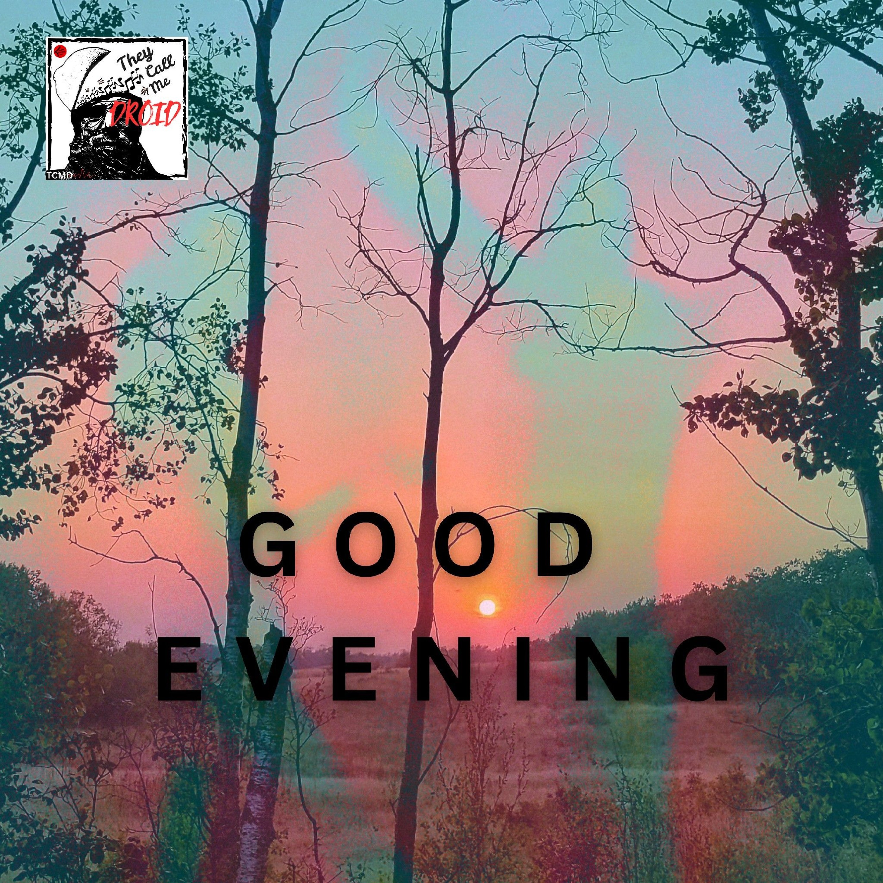 GOOD EVENING.wav episode artwork