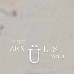 THE ZEXÜL'S VOL.1