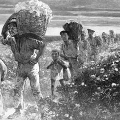 Fire On Babylon By Zae - Veezee - Aryeh