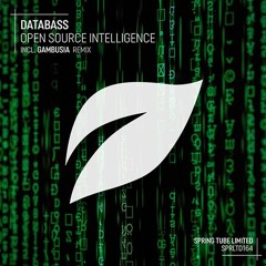 Databass - Open Source Intelligence