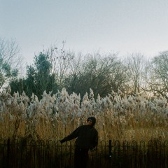 Shape: Nexcyia 090524