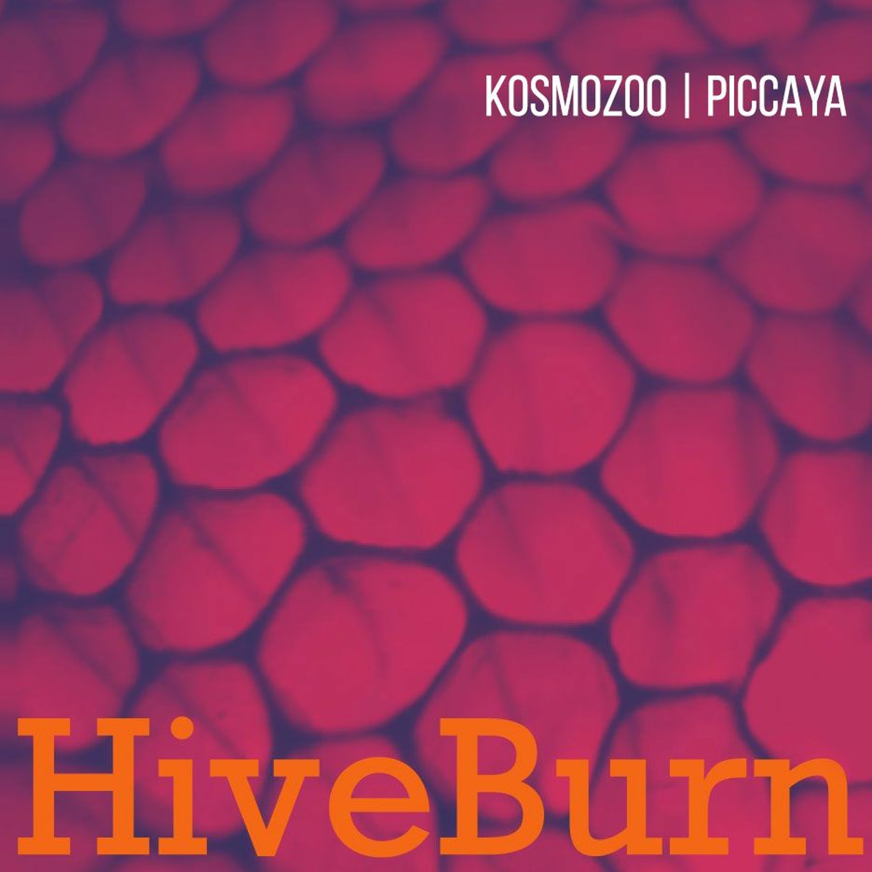 Piccaya