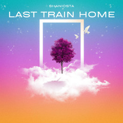 I am on Last Train Home