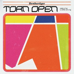 Torn Open (feat. Yvette Young)