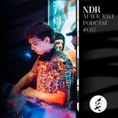 After Rave Podcast #017 - ndr