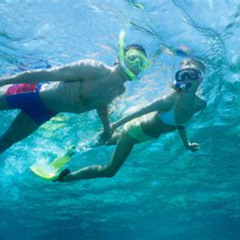 Best Places To Snorkel In Cabo San Lucas Prices Reviews