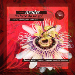 Arodes - Where Do We Go (Paso Doble Remix)