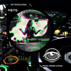 Introducing... Guest Mix #076 Seedling