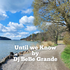 Until we Know