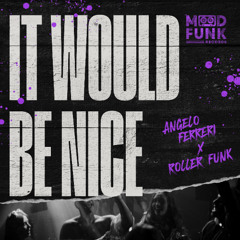 Angelo Ferreri X Roller Funk - IT WOULD BE NICE // MFR440