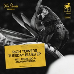 PREMIERE: Rich Towers - Every Moment With You [For Senses Records]