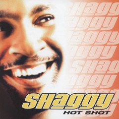 It Wasn't Me (feat. Ricardo Ducent)