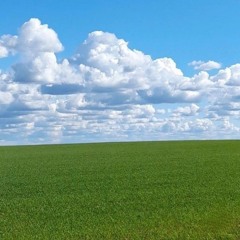 BRUXARIA CYBERNÉTICA (MC GW) - DJ SANTIS 061 & DJ LOPES