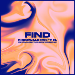 Find (DIM3NSION Pres Benner Remix)
