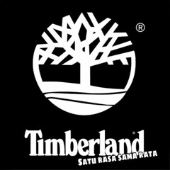 TMB - PAKKONIRO VVIP - 2021 [ Donny Fernanda ] #Timberland