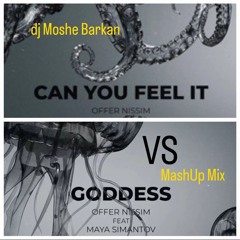 Offer Nissim Goddess VS Can You Feel It ( dj Moshe Barkan MashUP Mix )