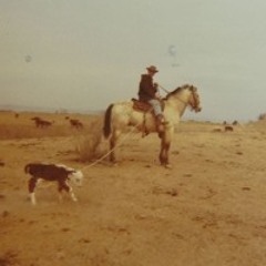 23 - The Cowboy's Lament (The Streets of Laredo) - Hank Sr